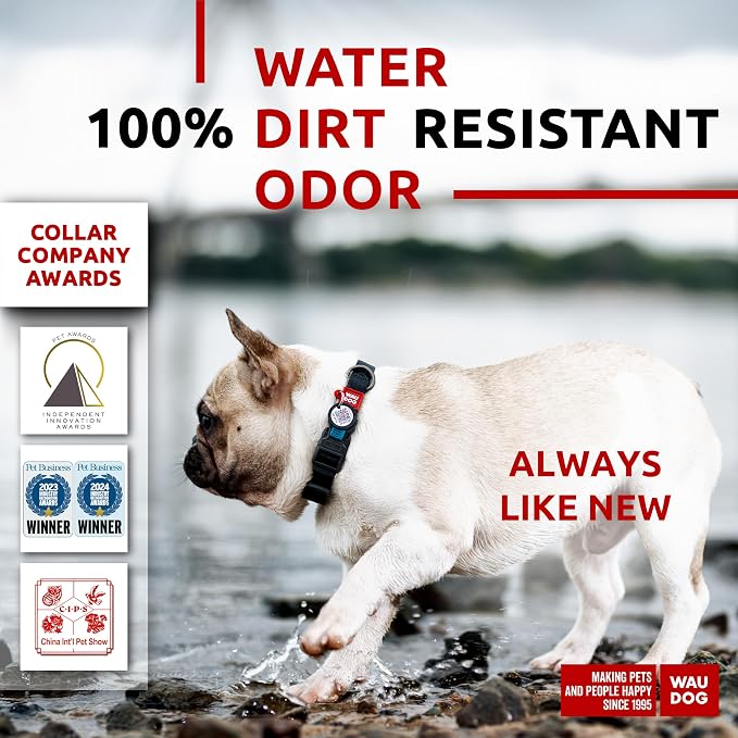WAUDOG Waterproof Dog Collar Airtag Holder QR Tag Small Medium Large Dogs | Water and Dirt Resistant, Quick Dry QR Pet Tag Adjustable Durable Comfort for Male and Female Dogs Outdoor Walking Training