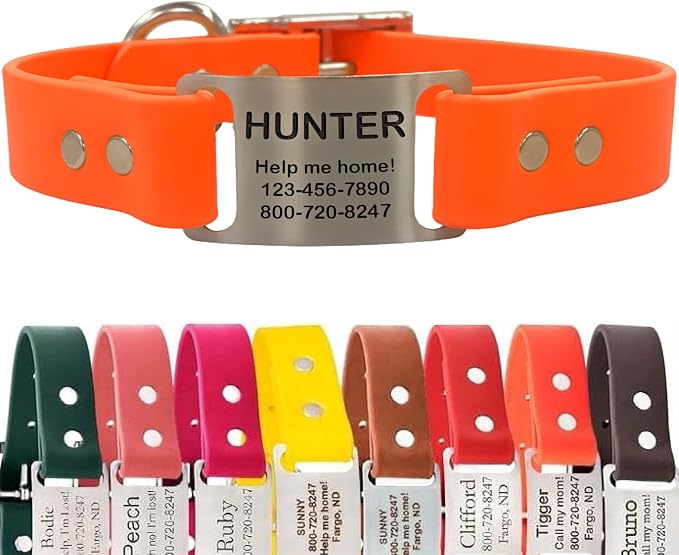 dogIDs Personalized Dog Collar – ScruffTag Custom Waterproof Biothane Dog Collar with Laser-Engraved Name, Durable & Odor-Resistant – USA Made | Blaze Orange, 1 in x 16 in (Fits Neck Sizes 14-18 in)