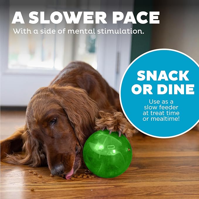 Outward Hound Orbee-Tuff Mazee Interactive Dog Puzzle Toy, Treat Dispensing Slow Feeder Ball, Green, 4.7-Inch