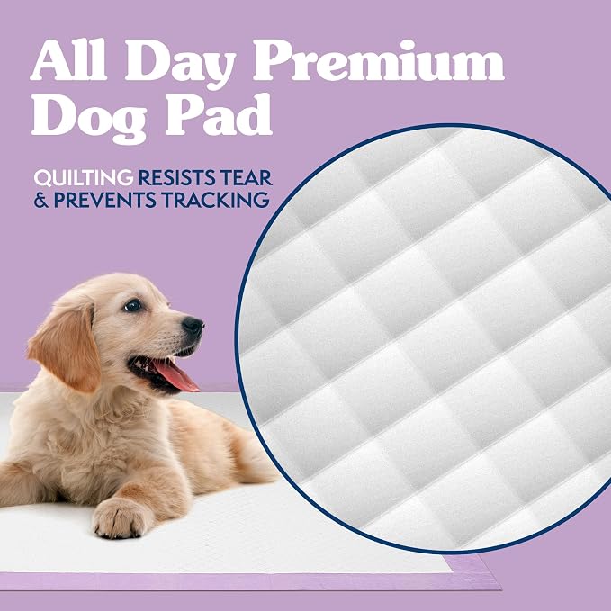Simple Solution All Day Training Pads, Lavender Scented, 23"x24" 100 Count | Dog Training Pads, Puppy Potty Training, Housebreaking, Disposable Pee Pads, Floor Protection, Indoor Potty, Puppy Essentials