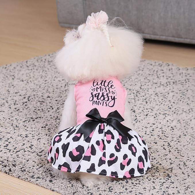 CuteBone Dog Mesh Dress Puppy Sundress Pet Outfit Summer Fashion for Small Dogs Girl Cat Clothes