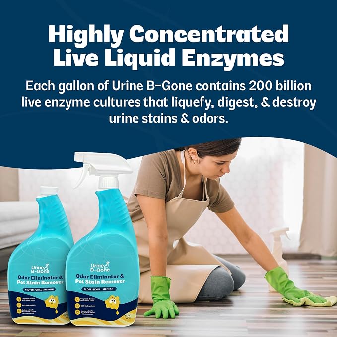 Urine B-Gone Enzyme Cleaner for Human & Pet Urine, Original, 32 oz, 2-Pack | Two 32 oz bottles of enzyme cleaner for human, cat and dog urine on laundry, carpets and more; original scent.