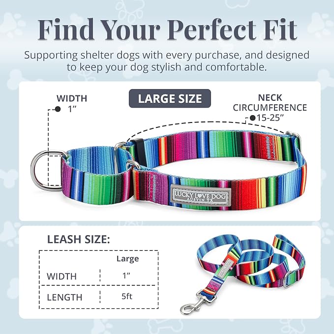 Lucky Love Dog Martingale Collar & Leash Set Cute – Nacho Color and, Large