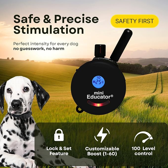 E-Collar ET-300 / ET-302 Dog Training Collar System with Remote - 1/2 Mile Range - Waterproof, Vibration, Sensation - Includes eOutletDeals Pet Towel (2 Dog System - ET-302 Black)