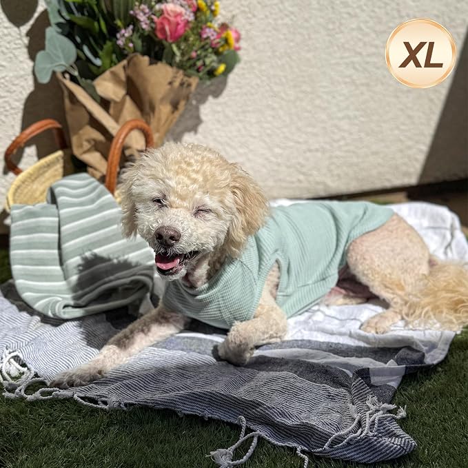 KYEESE 2Pack Dog Shirts Waffle for Small Dogs Stretchy Pet T-Shirts Lightweight Dog Tank Top Sleeveless Dogs Vest Breathable, X-Large, Green+Grey | Cozy Warmth, Lightweight & Breathable, Gentle on Sensitive Skin, Stretchy & Free to Move, Comfortable Da...
