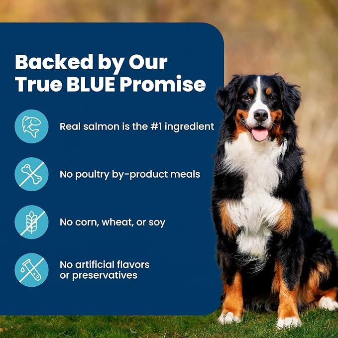 Blue Buffalo Life Protection Formula Salmon Adult Dry Dog Food, 34 lb | Real Salmon #1 Ingredient, Chicken-Free Recipe, Antioxidant-Rich LifeSource Bits, Promotes Healthy Muscle Development