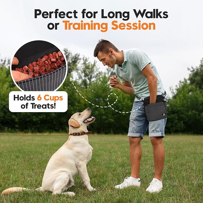 Dog Treat Pouch for Training, Magnetic Dog Walking Bag and Fanny Pack