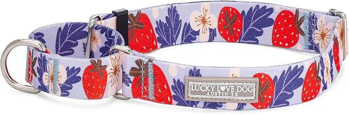 Lucky Love Dog Martingale Collar for Medium Dogs Cute – Sweet Berry, Medium