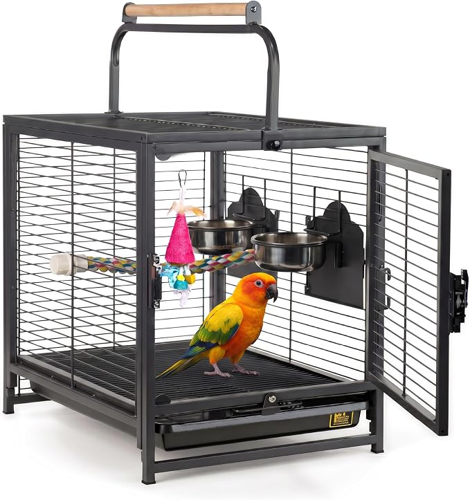 Prevue Pet Products Playtop Travel Carrier with Front Facing Door - Black