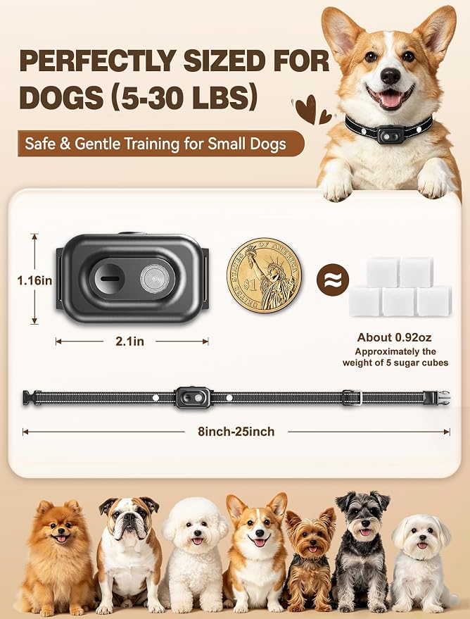 Small Dog Shock Collar with Remote - Specially Designed for Small Dogs 5-15 lbs, 5-30 lbs Puppies, Ultra-Light 0.92 Oz Dog Training Collar with Safe Beep Vibration Shock, IP67 Waterproof, Black