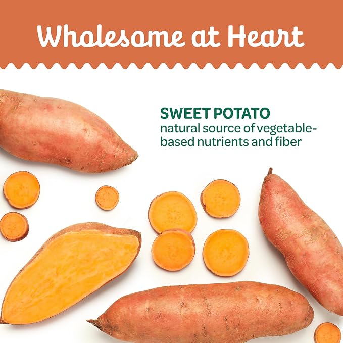 Wholesome Pride Sweet Potato Fries Healthy Dog Treats, 1 Ingredient, 16 oz