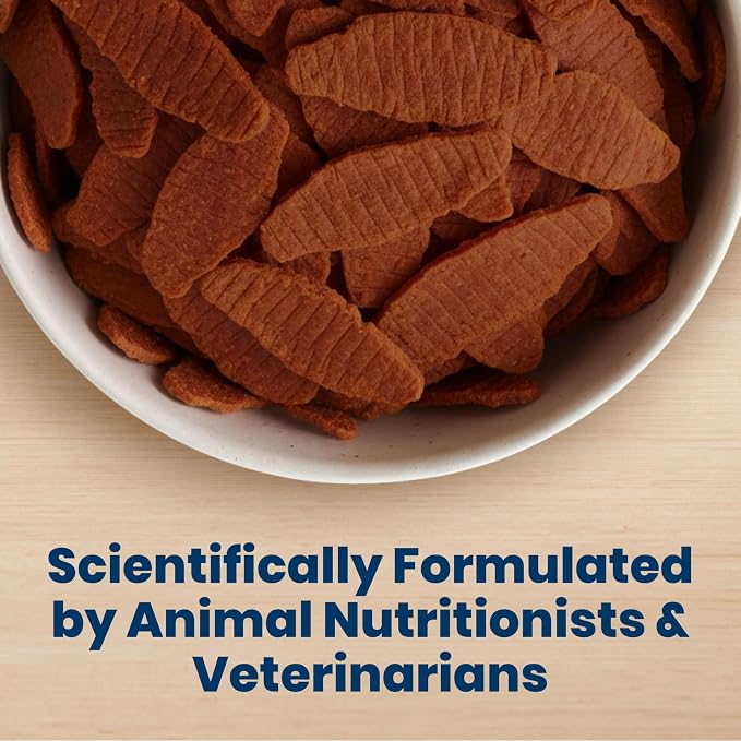 Blue Buffalo Nudges Jerky Cuts Steak Dog Treats, 16 oz | Real Beef First, Made in the USA, For All Breed Sizes, No Artificial Preservatives