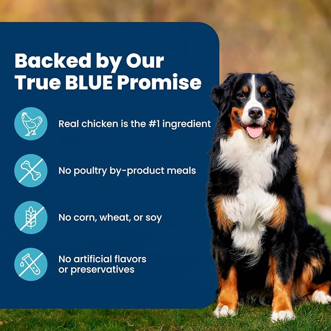 Blue Buffalo Life Protection Formula Chicken Adult Dry Dog Food, 15 lb | Real Chicken #1 Ingredient, Supports Immunity with Antioxidant-Rich LifeSource Bits, Promotes Healthy Muscle Development