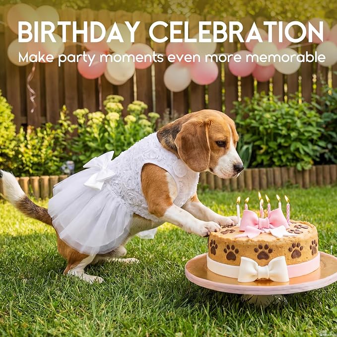 ASENKU Dog Dress Pet Wedding Dress Puppy Birthday Party Outfit, White S | Dog Flower Girl Dress With Leash Hole, Princess Puppy Dress For Weddings, Daily Wear, Fits Small Medium Large Dogs Cats
