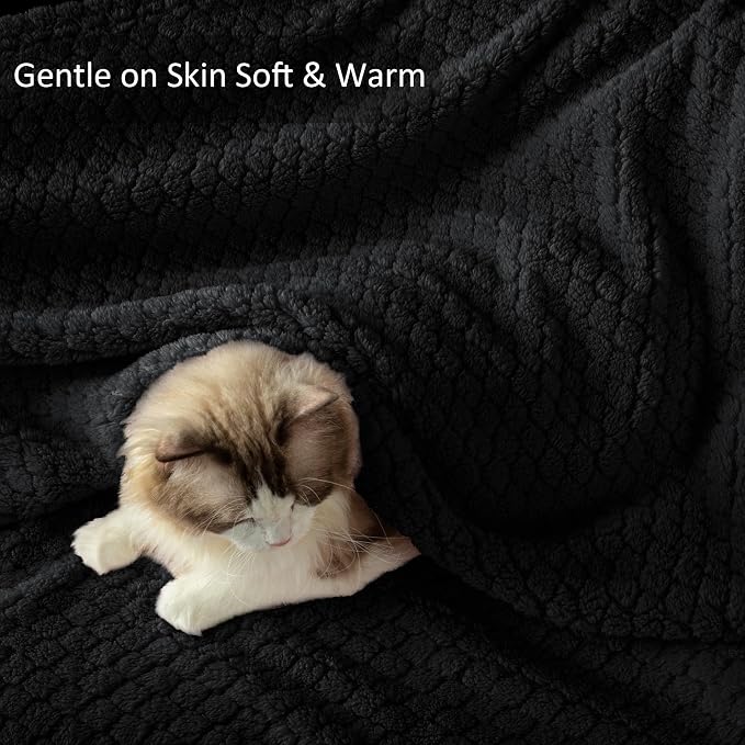 Exclusivo Mezcla Soft Fleece Queen Size Blanket for Bed, Black | Jacquard Lightweight Cozy Bed Blanket, Breathable Decorative Fuzzy Textured All Season Use, 90x90 Inches