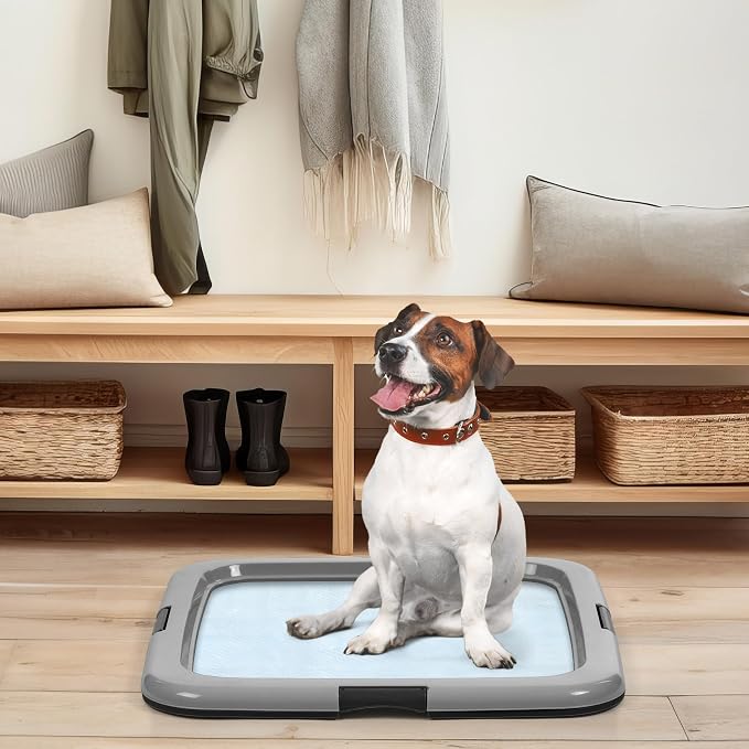 IRIS USA Pee Pad Holder, 2-Pack, Fits 22x22 Pads, Black/Gray, Made in USA | Dog Training Pad Holder, Holds Pads in Place, Leakproof Design, Secure Latches, Non-Skid Feet, Easy Clean Surface