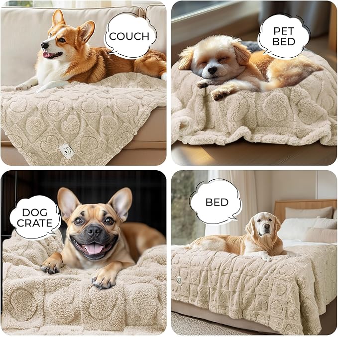 Luciphia 2 Pack Small Dog Blanket, Cozy Fleece Throw for Puppy Cat,30"x20" | Pink Blanket Washable for Medium/Large Dogs, Cute Cover on Bed Couch Crate Car, Puppy Essentials, Dog Gift,2PCs Beige