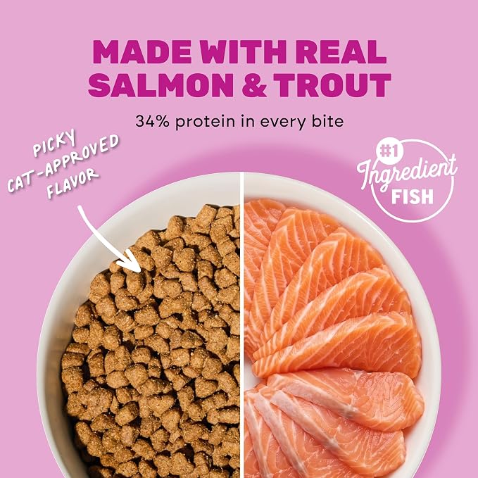 I AND LOVE AND YOU Naked Essentials Dry Cat Food, Salmon & Trout | 11lb