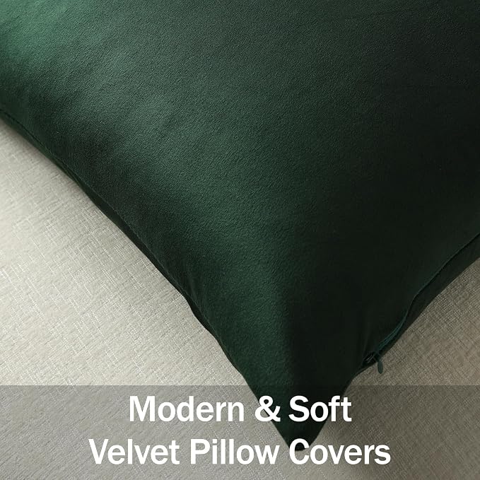 Throw Pillow Covers 18x18 Dark Green: Pack of 2 Cozy Soft Velvet Square Modern Luxury Decorative Throw Pillow Cases for Sofa Couch Living Room Bed Home Decor
