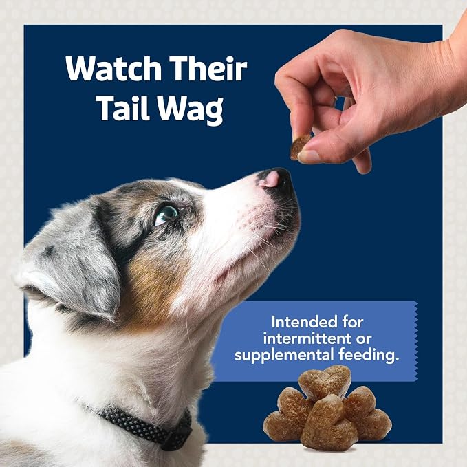 Blue Buffalo Bits Chicken Training Treats, 1 oz, 12 ct | Real Chicken First, DHA for Cognitive Development, No Chicken By-Product Meals, Free from Red Dye 40