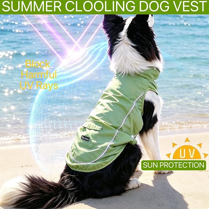 Dog Sun Protection Cooling Shirt,UPF 50+ UV Protection,Lightweight Breathable Cooling Vest, Sunblock Summer Clothes for Dogs (Mint Green, XL, Side Snap-Buttons)
