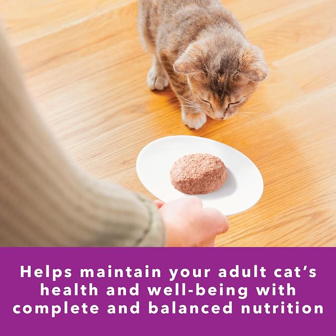 IAMS Perfect Portions Sensitive Skin Pate Wet Cat Food, Turkey, 24 Count | Grain-free, Omega 6 & 3 Fatty Acids, prebiotics & beet pulp for digestion, snap-peel-serve 2.6 oz. twin-pack trays
