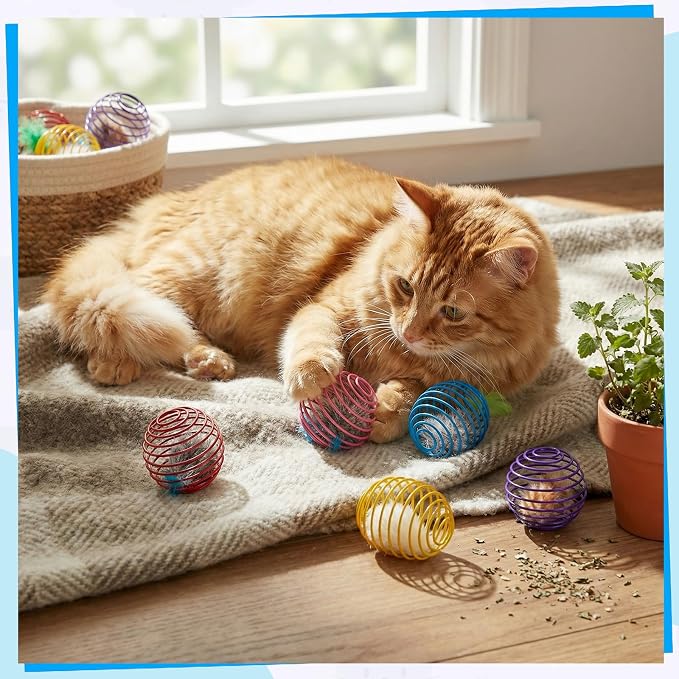 Jecery 5 Pcs Cat Toys Spring,Feathered Radish,Multicolor