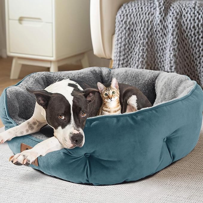Small Dog Bed for Small Dogs, Cat Beds for Indoor Cats, Pet Bed for Puppy and Kitty, Extra Soft & Machine Washable with Anti-Slip & Water-Resistant Oxford Bottom, Teal, 20 inches