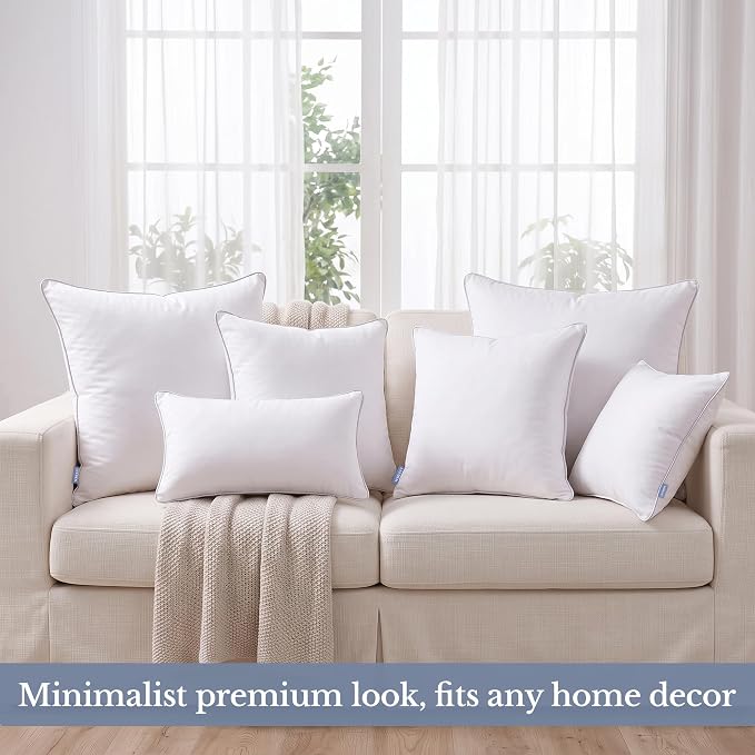 Leeden 22x22 Pillow Inserts Set of 4-22 Inch Decorative Cushion Insert, Soft Fluffy Throw Pillow Inserts for Living Room Couch, White 4 Pack Pillow Forms