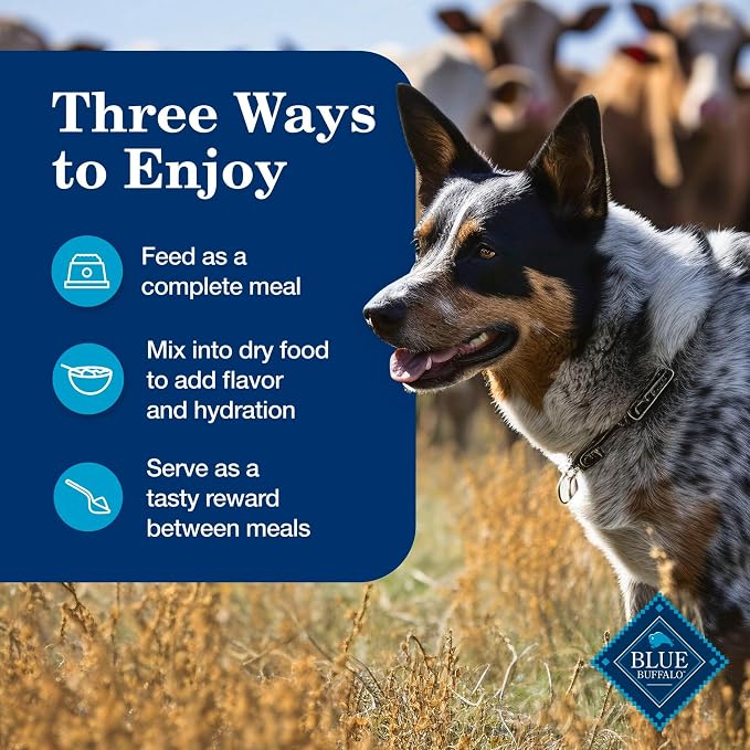 Blue Buffalo Homestyle Recipe Variety Pack Wet Dog Food, 12.5 oz, 6 ct | Chicken & Turkey (3 of Each), No Chicken By-Product, Corn, Wheat, or Soy