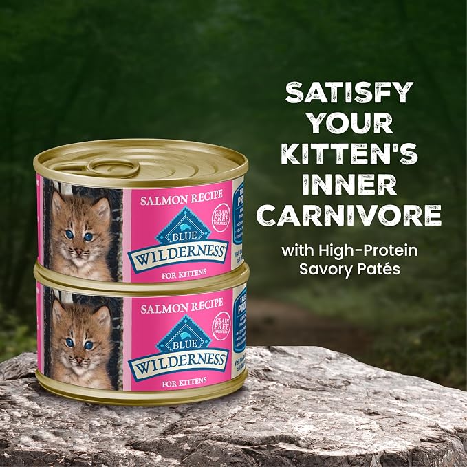 Blue Buffalo Wilderness Salmon Kitten Paté Wet Cat Food, 3 oz, 24 ct | High Protein, Real Salmon #1 Ingredient, Grain-Free Recipe, DHA for Cognitive Development, Helps Support Daily Hydration