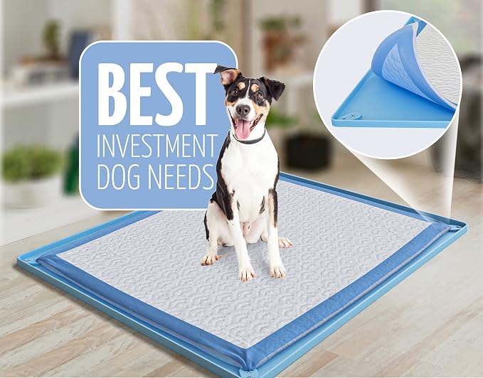 Dog Pee Pad Holder Tray Fits for 30” x 23” Pee Pads - 1 Pack - Blue | Corner Lock Holes, Raised Edges, Non Spill, Easy to Clean Silicone Dog Potty Tray Holder, For Indoor Floor Protection