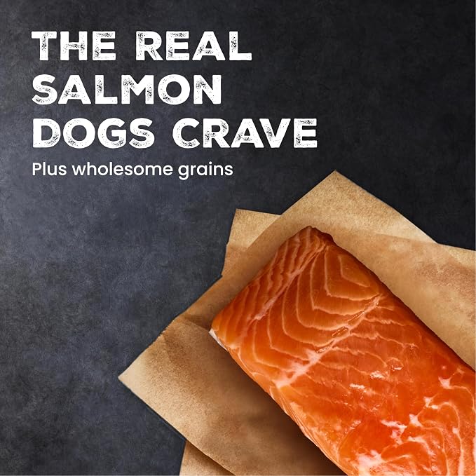 Blue Buffalo Wilderness Salmon & Wholesome Grains Adult Dry Dog Food, 24 lb | 39g Protein, Real Salmon #1 Ingredient, Antioxidant-Rich Fruits & Veggies, High Protein to Fuel Adventures