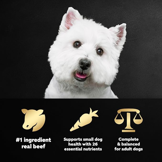 Cesar Small Breed Dry Dog Food, Porterhouse and Spring Vegetables, 5 lb | Made in USA, Real beef #1 ingredient, 26 essential nutrients, supports small breed health, no artificial flavors