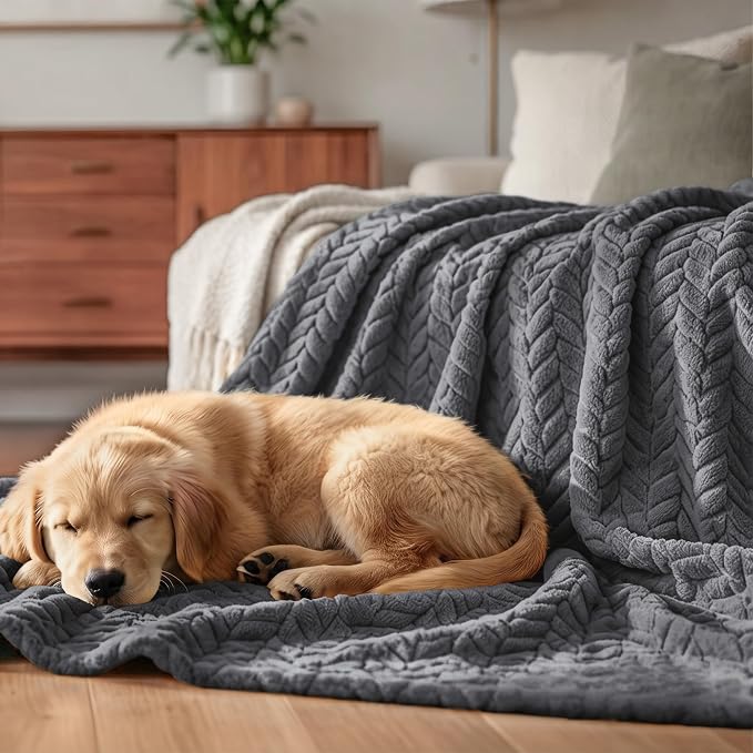Exclusivo Mezcla Soft Fleece Bed Blanket Twin Size, 60”x80”, Dark Grey | Cozy Fluffy Lightweight Blankets for Summer, Decorative Plush Flannel Throws for Living room, Bedroom with Leaves Pattern