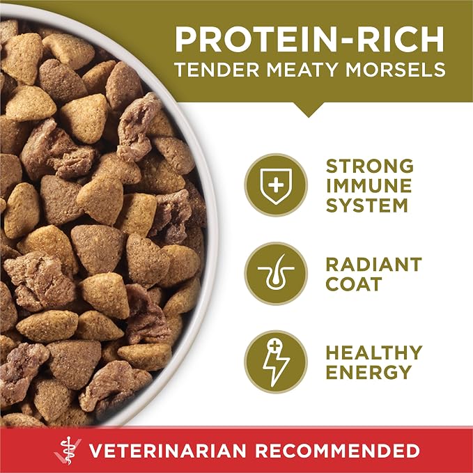 Purina ONE Dry Dog Food Lamb and Rice Formula - (Pack of 4) 4 lb. Bags | Natural recipe with real lamb as the first ingredient, and a microbiome balance with prebiotic fiber for gut & immune support