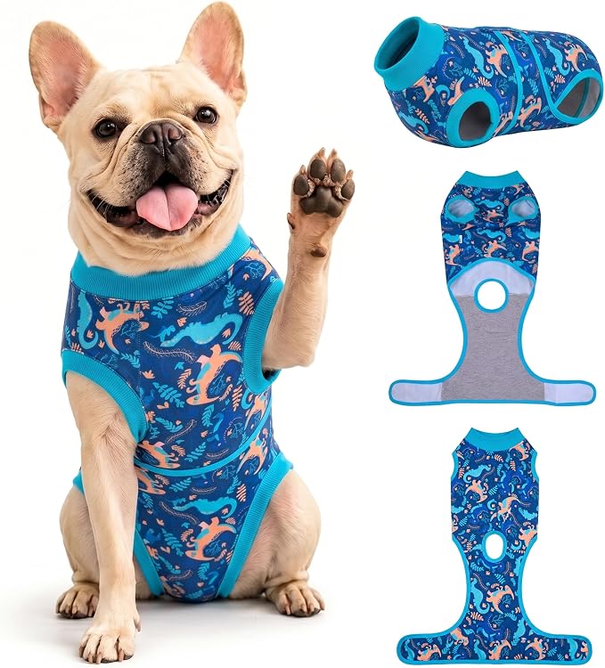 PetWarm After Surgery Onesie for Dogs, Pet Coat's Inner Clothes, Dog Cone Alternative After Surgery Suit for Dogs Female Male Dog Onesie for Spay Neuter, Dinosaur Pattern, Green, XS