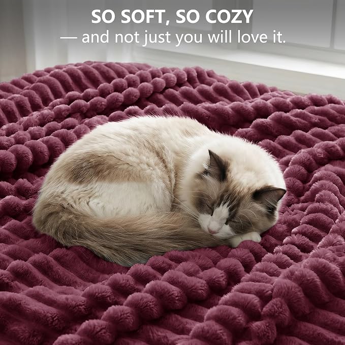 Burgundy Red Twin Blanket for Bed & Couch, 60 x 80 Inch | 300GSM Ribbed Fleece Blanket, Soft, Cozy & Lightweight, OEKO-TEX Certified, All-Season Use for Travel, Dorm & Home Decor