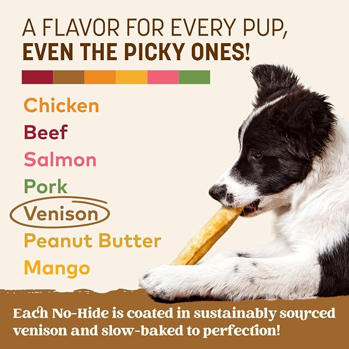 Earth Animal No Hide Dog Chews - Rawhide Free Medium Rolls 2 Count Venison | Medium Venison Flavored Natural Rawhide Free Long Lasting Dog Chews - Treats for Medium Dogs and Aggressive Chewers