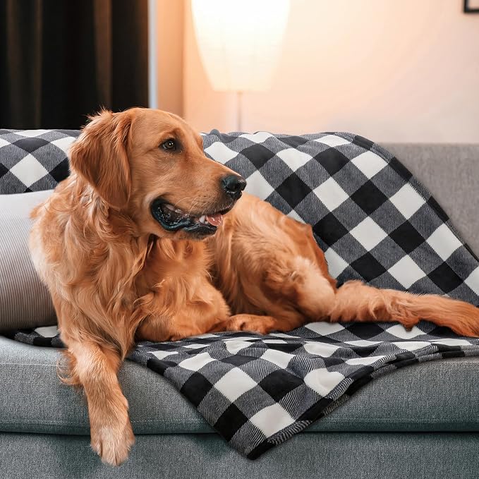 BEDELITE Plaid Fleece Twin Blanket, Black & White Buffalo 60x80 Inches | 100% Polyester Microfibe, Soft Cozy, Lightweight Warm, Classic Buffalo Plaid, Room Decor, Machine Washable, for Couch Bed