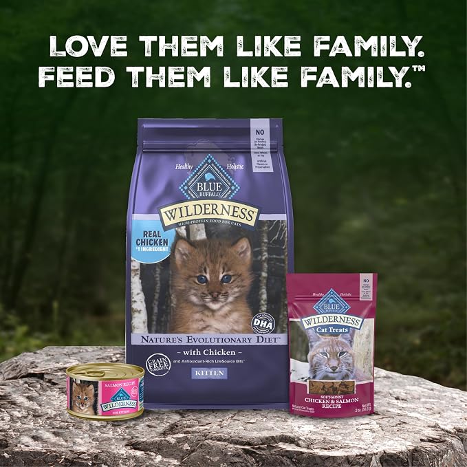 Blue Buffalo Wilderness Salmon Kitten Paté Wet Cat Food, 3 oz, 24 ct | High Protein, Real Salmon #1 Ingredient, Grain-Free Recipe, DHA for Cognitive Development, Helps Support Daily Hydration