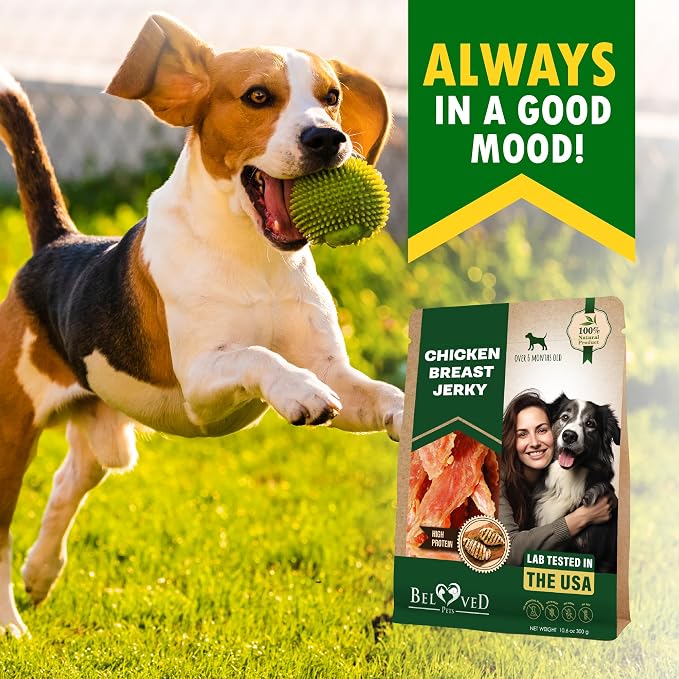 Beloved Pets Dog Treats Chicken Jerky Breast - Human Grade Meat Sticks - Natural Pet Dried Snacks Rawhide - Free - Long Lasting Chews for Large & Small Dogs (10.6 oz (Pack of 1), Chicken Jerky Breast)