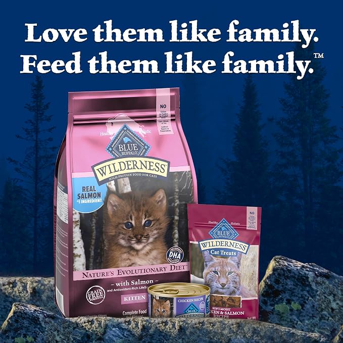 Blue Buffalo Wilderness Salmon Kitten Dry Cat Food, Grain-Free, 5 lb | High Protein, Real Salmon #1 Ingredient, DHA & ARA for Brain and Eye Development, Antioxidant-Rich LifeSource Bits