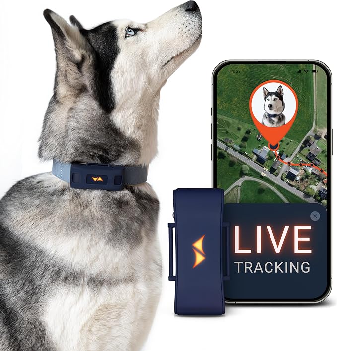 PAJ Dog GPS Tracker 3-Month Subscription Included, Real-time Pet Tracking