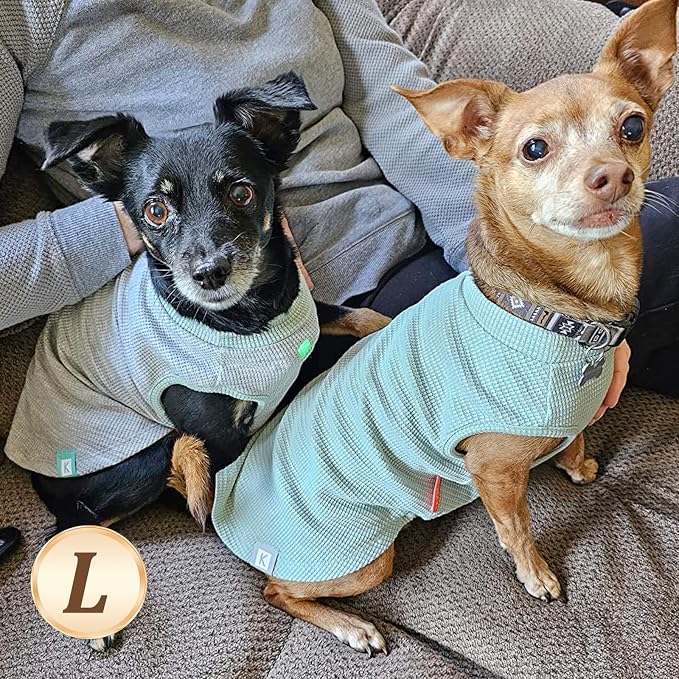 KYEESE 2Pack Dog Shirts Waffle for Small Dogs Stretchy Pet T-Shirts Lightweight Dog Tank Top Sleeveless Dogs Vest Breathable, Large, Green+Grey | Cozy Warmth, Lightweight & Breathable, Gentle on Sensitive Skin, Stretchy & Free to Move, Comfortable Dail...