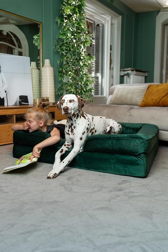 NOAH & PAW XL Dog Bed, 45x35x11 Inch, Orthopedic Large Dog Beds, Eggshell Memory Foam Infused with Cooling Gel, Inner Cover, Water Resistant, Machine Washable (Velvet Sofa Collection)