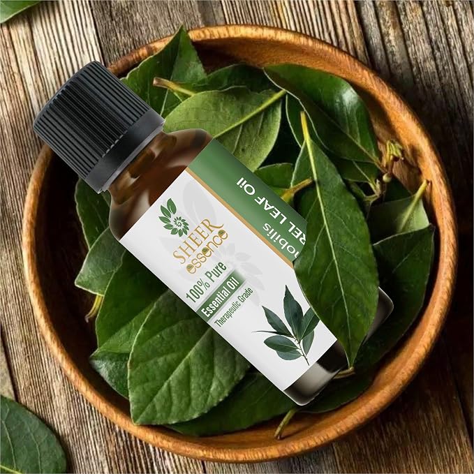 Bay Laurel Leaf Oil- (Laurus Nobilis)- Essential Oil 100% Pure Natural Undiluted Uncut Therapeutic Grade Oil 0.16 Fl. Oz.