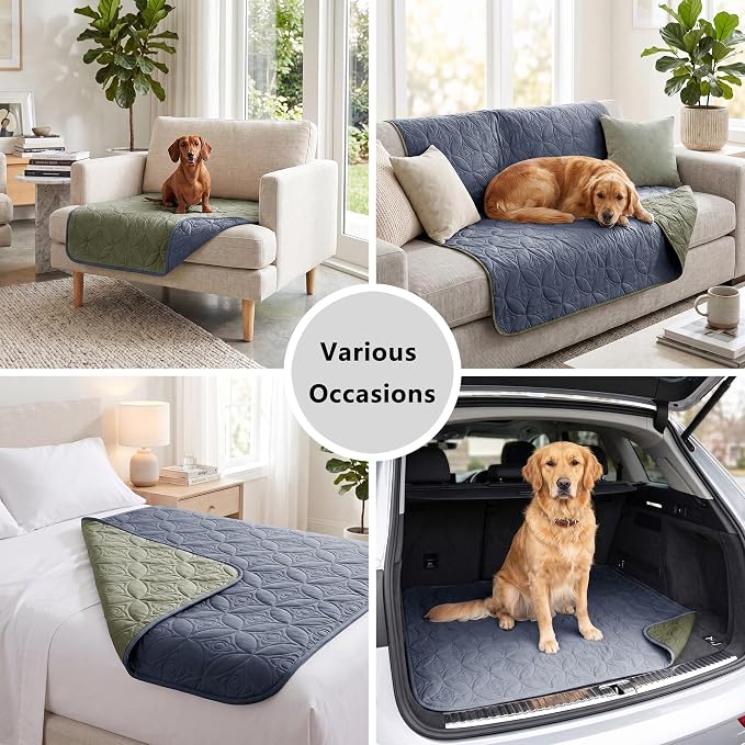 Waterproof Couch Cover for Dogs - Washable Pets Furniture Protector | TPU Leak-Proof Liner, Lightweight & Reversible, Fits Chair, Sofa, Bed, 30" x 30" , Blue/Green