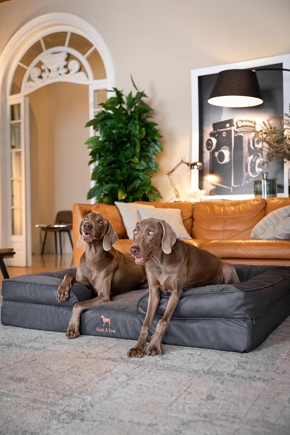 NOAH & PAW Giant Dog Bed XXL, 55x45x11 Inch, Orthopedic Dog Beds, Eggshell Memory Foam Infused with Cooling Gel, Inner Cover, Water Resistant, Machine Washable (Faux Leather)