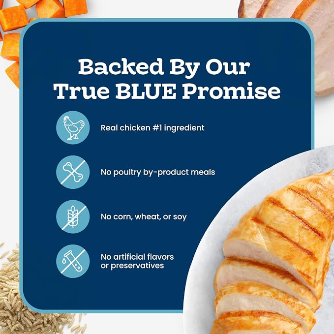 Blue Buffalo Tastefuls Natural Tender Morsels Wet Cat Food, Chicken Entrée 5.5-oz cans (Pack of 24) | Real Chicken First, Tender Morsel Texture, No Chicken By-Product, Corn, Wheat, or Soy